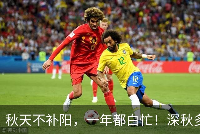 秋天不补阳，一年都白忙！深秋多吃3种肉，暖身养脾胃，舒服过秋